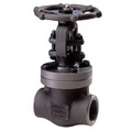 Stainless Steel Threaded Gate Valve